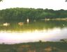 Lake Strauss